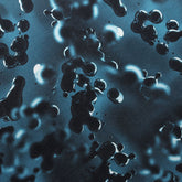 BZ Digital Maxxi / Brazilian Printed Nylon Spandex